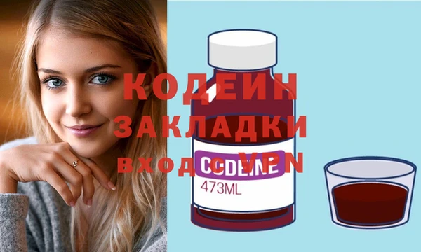 гашик Дмитров