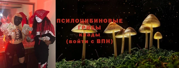 гашик Дмитров