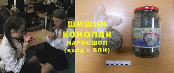 тгк Дмитриев