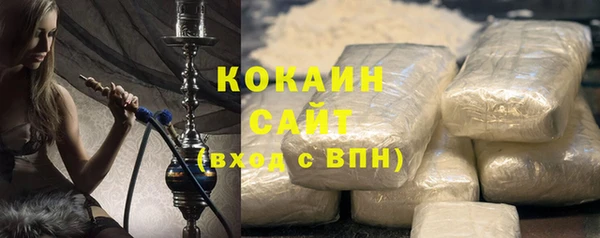 гашик Дмитров