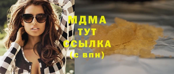 тгк Дмитриев