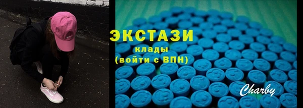 гашик Дмитров