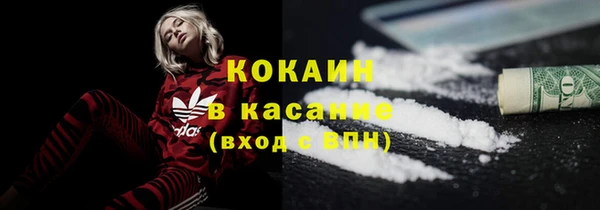 гашик Дмитров