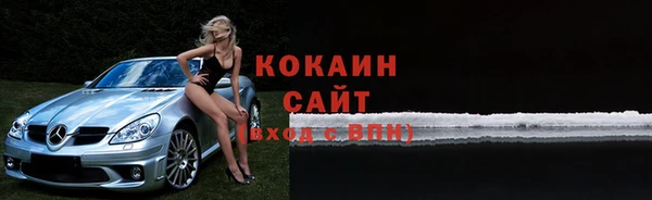 тгк Дмитриев