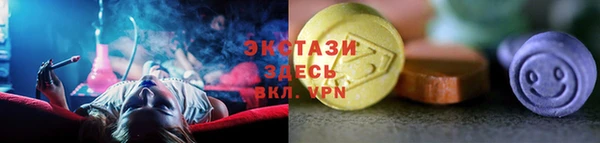 тгк Дмитриев