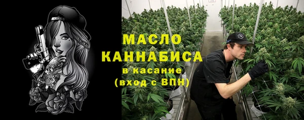 тгк Дмитриев