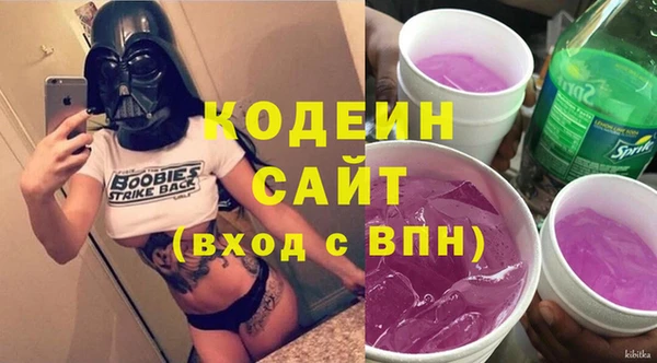 гашик Дмитров