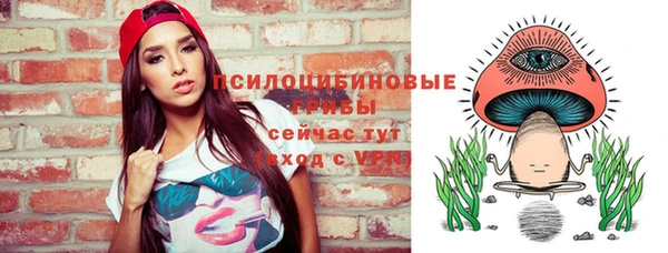 гашик Дмитров