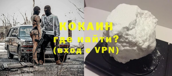 тгк Дмитриев