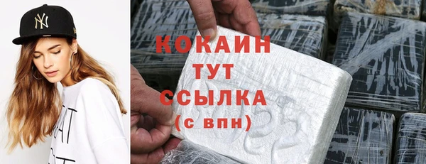 тгк Дмитриев