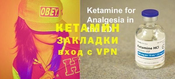 гашик Дмитров