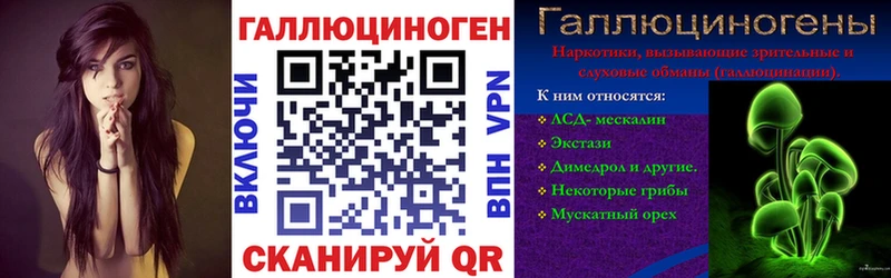 Купить  Кулебаки  Псилоцибиновые грибы MAGIC MUSHROOMS 